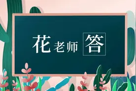花老师答：总是陷入无休止忙碌的工作中，该怎么办？图片