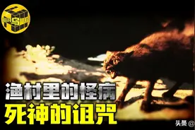 万只猫集体跳海，一场只有死亡才能终结的诅咒！日本诡异事件真相图片