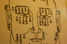 推荐一套适合初学者的看相书：《相》图片