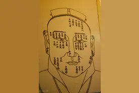 推荐一套适合初学者的看相书：《相》图片