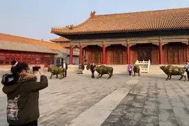 大年初一北京市民故宫观赏游玩，故宫铜牛备受青睐成打卡地标图片