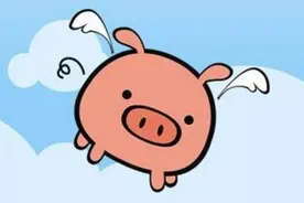 【金龟子讲睡前故事】不在乎的呼噜猪图片