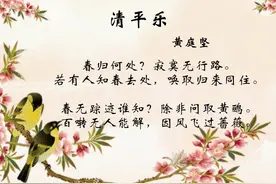 绝尘独立黄山谷——春归何处图片