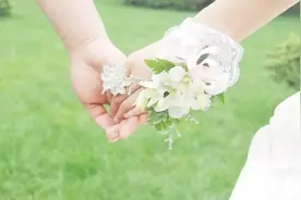《热锅上的家庭》：冲破婚姻围城，实现自我救赎，走上幸福之路图片