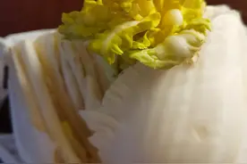 睡觉睡傻了图片