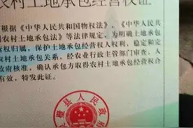 安徽灵璧：耕种18年有承包权证的土地被确权给他人，谁在滥用自己的权利？图片