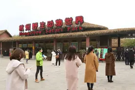 杭州野生动物世界本周日恢复开园 医护人员免票图片