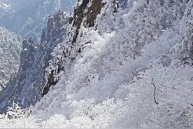 雪地惊现神秘足迹，跟踪搜索，民兵古墓勇斗“僵尸”图片