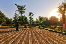 八十八岁奶奶身轻如燕练太极（手机随拍)图片