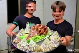 非法食用国家二级保护动物，海南一美食博主被刑拘图片