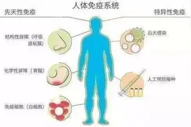 第一回 免疫系统很复杂 对抗病毒靠大家图片