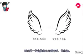 西瓜视频解答西方国家革命派和民主派为什么被称为左翼和右翼？图片