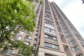 突发！合肥一女子高楼坠下不幸身亡图片