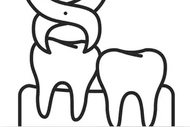 拔牙矫正后，老了会容易掉牙吗？图片
