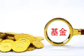 大火的量化基金，值得买吗？图片