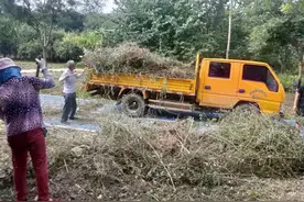 石家庄市城市水系管理处攻坚发力，水系沿线越来越整洁漂亮图片
