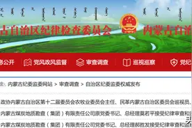 内蒙古倒查20年涉煤腐败，两位厅级干部同日被查图片