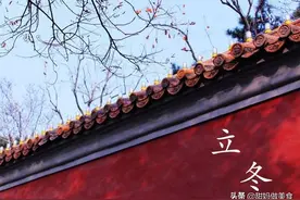 这道水汆丸子菌菇汤，汤鲜肉美营养高，天冷了常喝它，暖胃又暖心图片