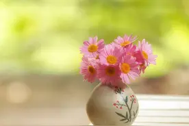 很冷漠，难以交心的星座：很难走进感情的人，通常也很难走出感情图片