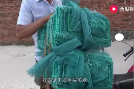 小池花780元买一批新地笼，老板说：保证能抓到好货，小池乐坏了图片