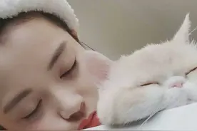 猫咪不睡，主人崩溃！猫主子半夜“蹦迪”怎么破？图片