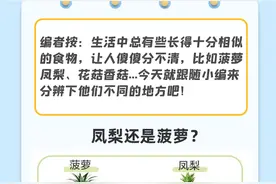 凤梨还是菠萝？如何辨别那些让你傻傻分不清的食物？图片
