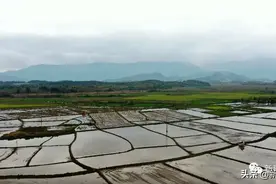 “90后”小伙周聪：跟着父亲一起种田图片
