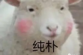 挖宝|买了又买的好物~性价比爆表的的饰品护理美妆来一波~图片