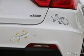 为什么很多车主都在车尾贴上“壁虎”？这有什么作用？长见识了图片
