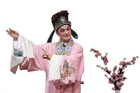 必须知道的家乡戏曲名家图片
