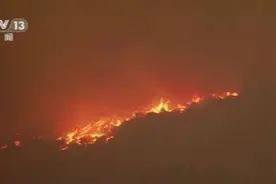 灭火效果甚微 美国洛杉矶“山猫山火”难控图片