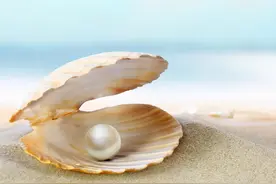 哎呀妈呀，这种珍珠有毒啊，尽量不要购买图片