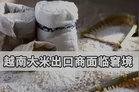泰国大米降价50%！越南30万吨大米滞留港口，米商每天亏损9.9万元视频封面