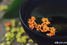 人真正的“归宿”，并非生老病死，而是达到这种境界图片