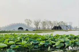 鱼台这个景点有小桥流水，风景如画，堪比济南大明湖图片
