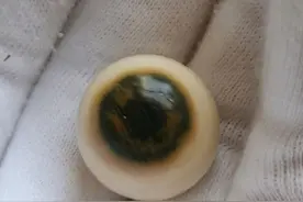 文玩越来越可怕了，盘玩“智齿”，又盘“眼珠子”，毛骨悚然图片