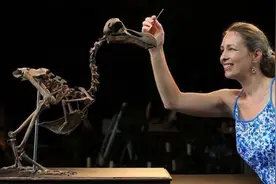 为什么史前巨兽消失殆尽？人类迁徙就是一场席卷全球的灾难图片