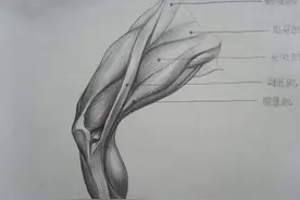 想拥细长的美腿并不难，知道自己的腿型，就能很快练出纤细美腿图片