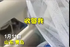 石家庄女生回应被宿管阿姨邀请回家过年：心里特别感动国际庄加油图片