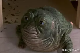 《进化危机》外星生物竟只用两个小时，就完成了地球2亿年的进化图片