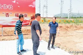 临淄金山镇强化支部“堡垒”树立党员“先锋”党建项目“打擂台”盘活镇域发展图片