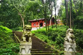 南京老山，生机盎然图片