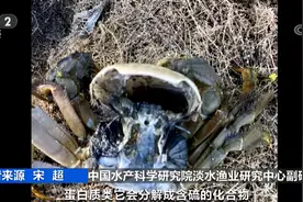 生活家 ‖螃蟹死了还能吃吗？图片
