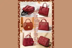 24款百元新娘婚包推荐｜婚礼现场&日常通勤皆可图片
