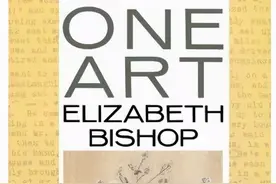 最近读诗｜One Art图片