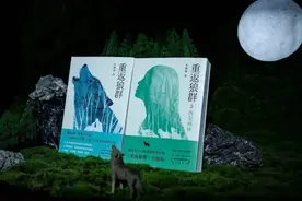 《重返狼群2》：童话的背后是血腥图片