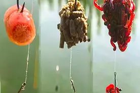 把黑坑好用的秒粘豆，用在野钓防小杂鱼上有特殊的效果图片