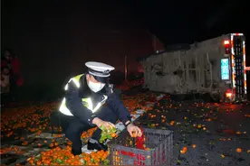 小货车高速路侧翻，1200斤砂糖柑满地“打滚”图片