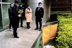 浙江一小区3米长大蟒蛇从天而降！主人把它从120克养到近70斤，涉嫌犯罪图片