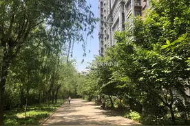 别妄想了！在北京1000万住不起这样的小区图片